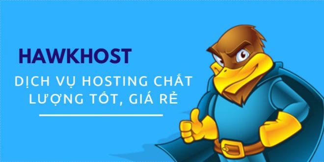 Tối Ưu Chi Phí, Tối Đa Hiệu Quả Với Dịch Vụ Hosting Đẳng Cấp Từ HawkHost