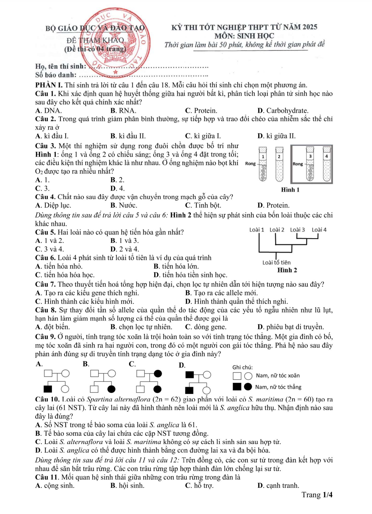 Đề tham khảo thi tốt nghiệp THPT 2025 môn Sinh Học